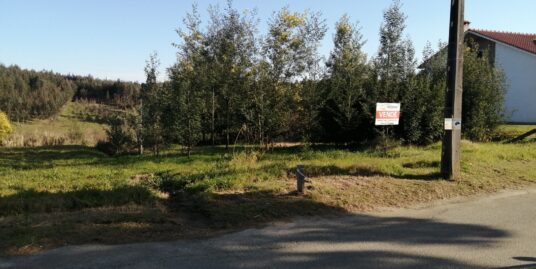 Terreno no Barril – Mortágua