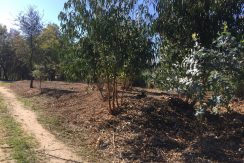 Lote para construção – Santa Comba Dão