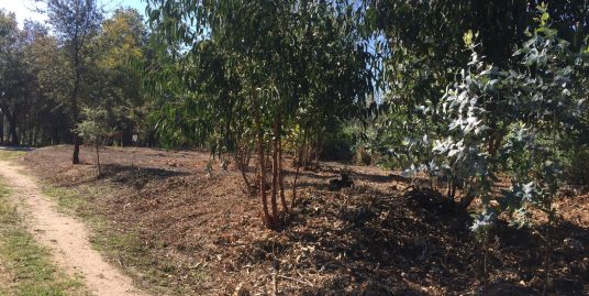 Lote para construção – Santa Comba Dão