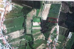 Terreno Construção Coval – Mortágua