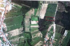 Terreno Construção Coval – Mortágua Terreno Construção Coval – Mortágua