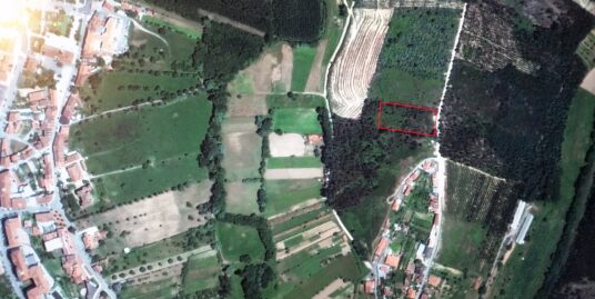 Terreno Construção Coval – Mortágua