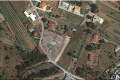 Lote para Construção – Mortágua