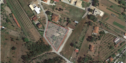 Lote para Construção – Mortágua