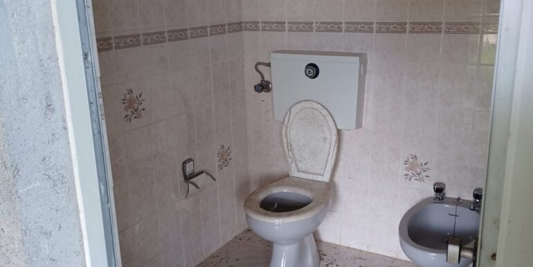 IMG-20230404-WA0025