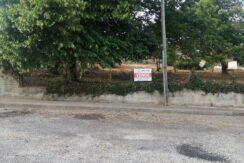 Lote Santa Comba Dão