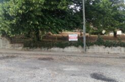 Lote Santa Comba Dão