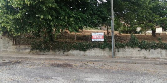 Lote Santa Comba Dão