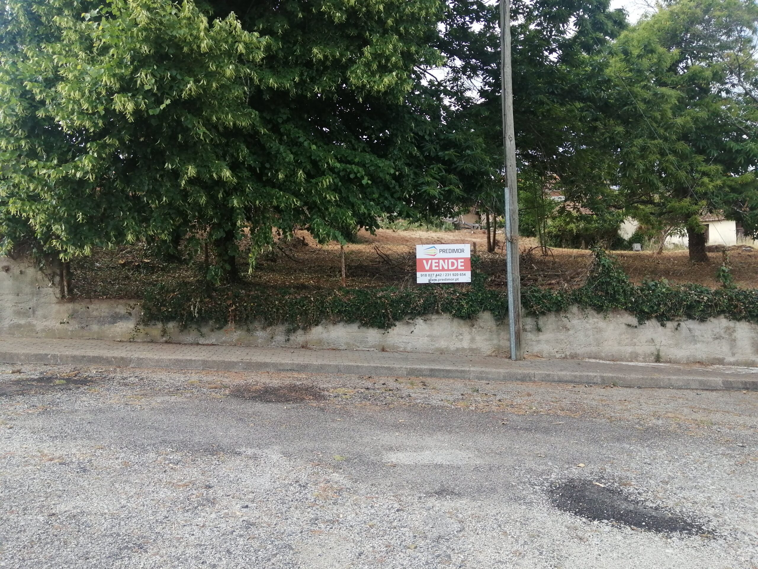 Lote Santa Comba Dão