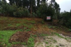 Terreno no Barracão – Mortágua
