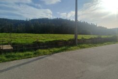 Lote Construção – Coval, Mortágua
