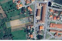 Terreno Gandarada – Mortágua Terreno Gandarada – Mortágua