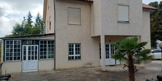 Café Vasco da Gama – Mortágua