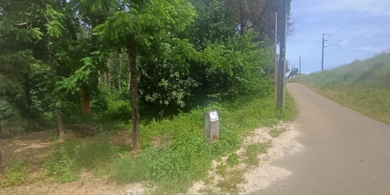 20260602_152856
