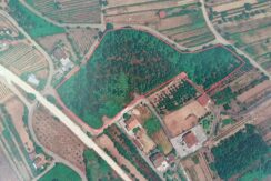 Terreno em Venda – Monte de Lobos, Vale de Remigio, Mortágua