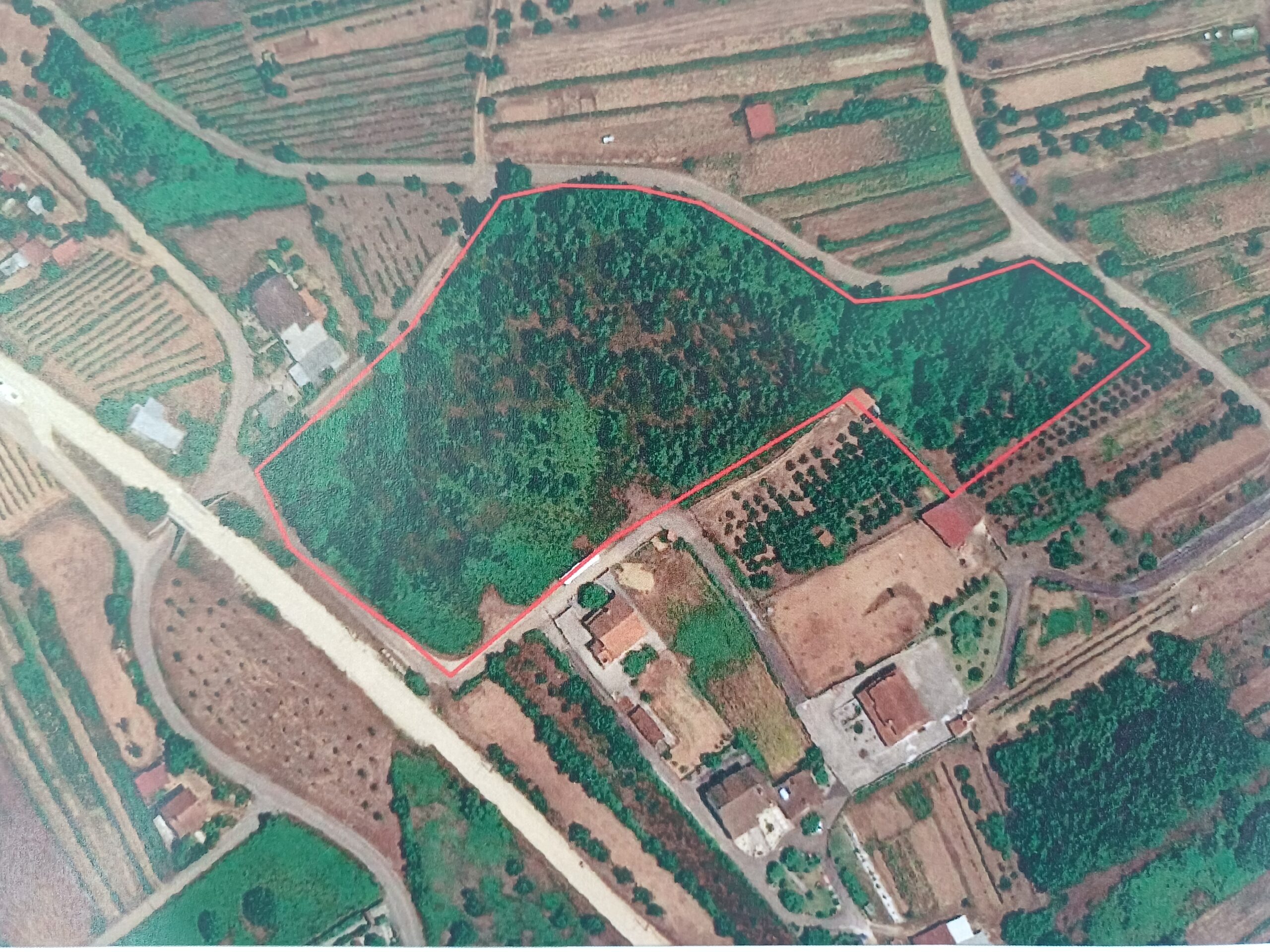 Terreno em Venda – Monte de Lobos, Vale de Remigio, Mortágua